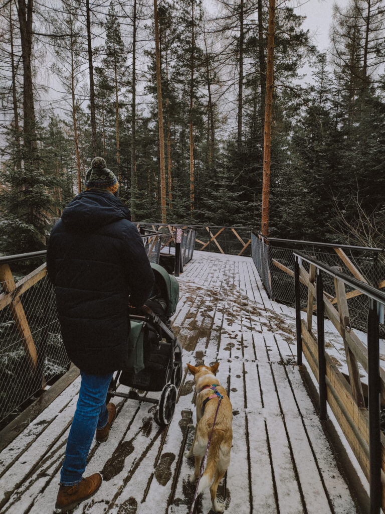 Na wycieczkę z dzieckiem i psem – Leśne Molo w Starym Sączu