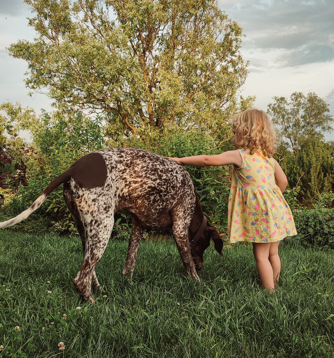 stwórz piękną relację dziecka z psem