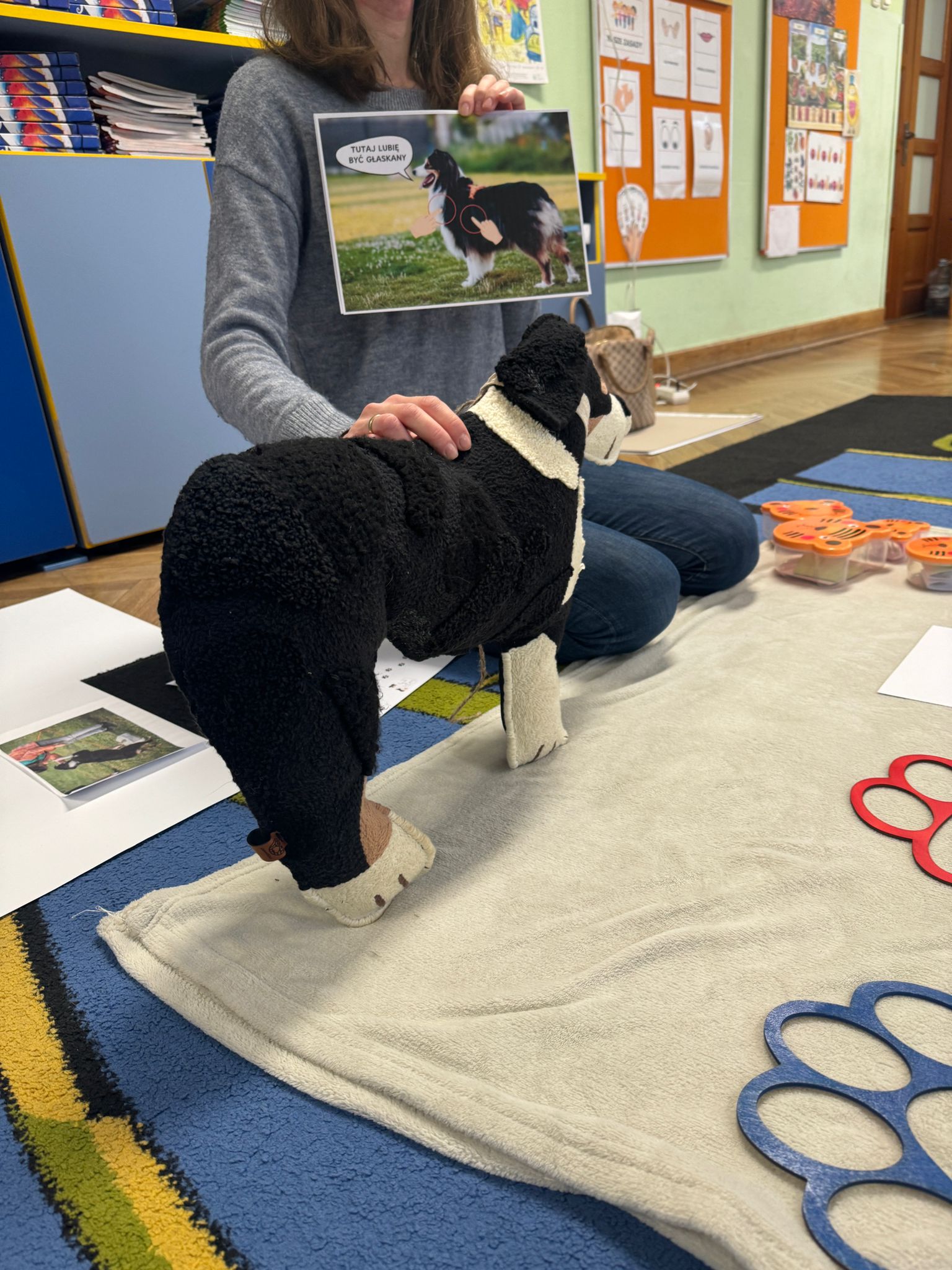 zajęcia edukacyjne w placówkach oświatowych