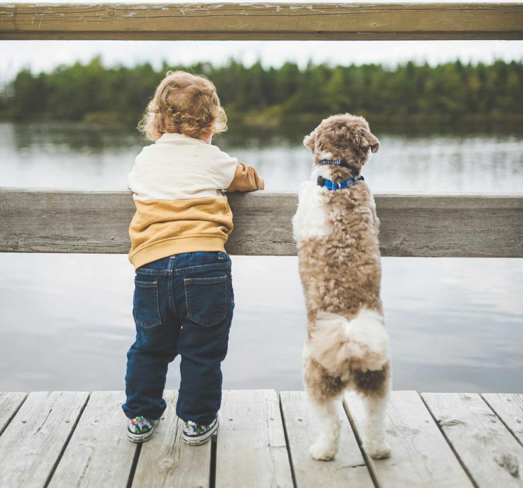 Zadbaj o relację dziecka z psem - umów się na konsultacje