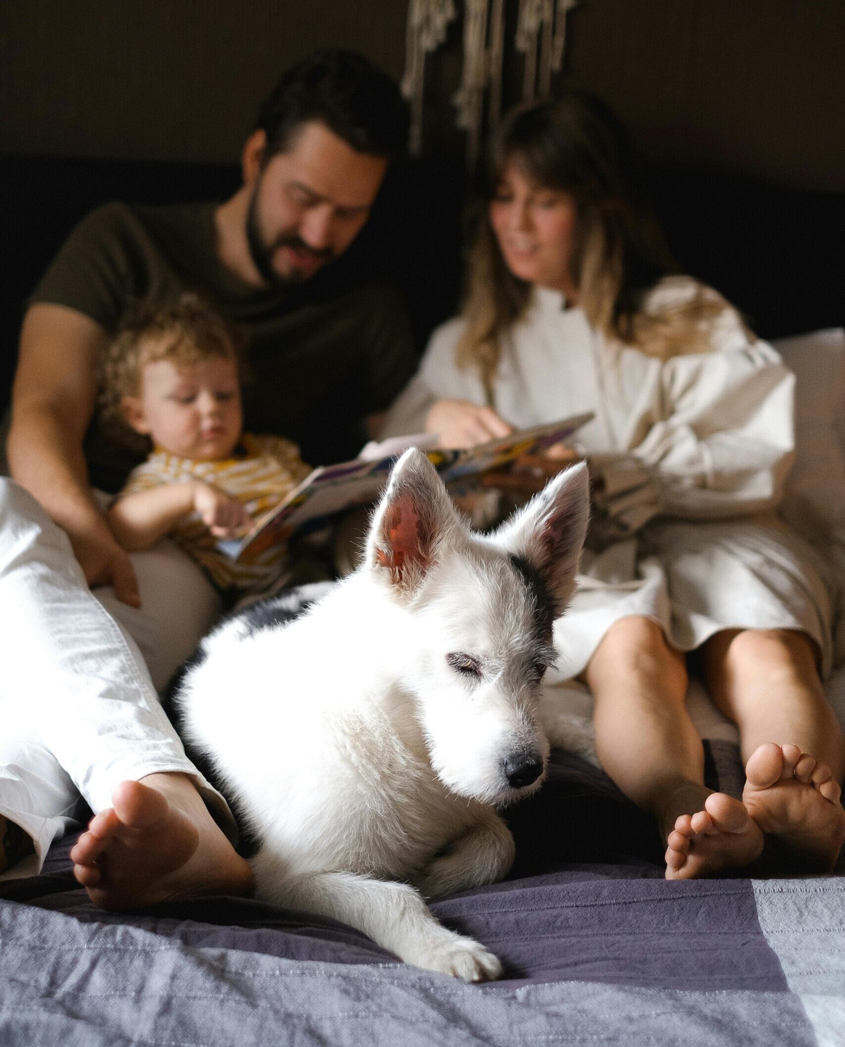 relacja dziecko-pies