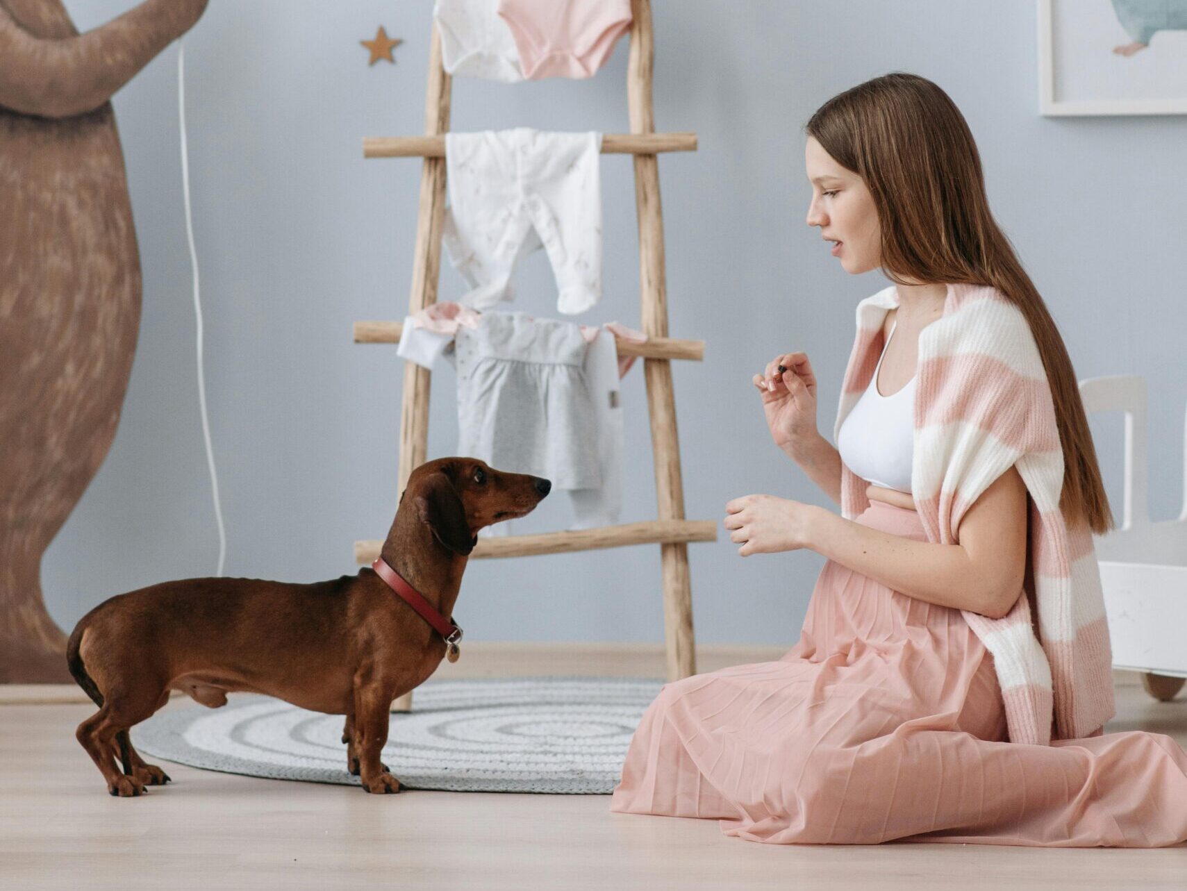 Jak przygotować psa na pojawienie się dziecka