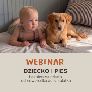 WEBINAR DZIECKO I PIES BEZPIECZNA RELACJA