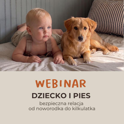 WEBINAR DZIECKO I PIES BEZPIECZNA RELACJA